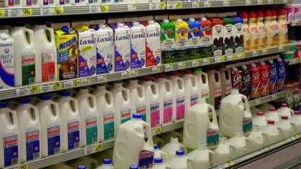 Iran beginnt mit Export von Milchprodukten nach Russland
